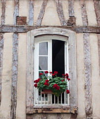 Typical old wall with wood beams in France and window with flower pots.