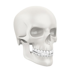 Human Skull Isolated