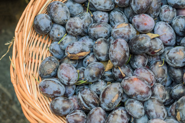 top view of ripe plums in a basket at the farmer's market