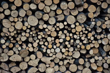 Möbelaufkleber firewood © Vedrana
