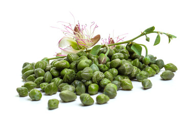 Caper with green leaves and capers flower on white background