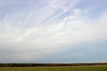 field and blue sky