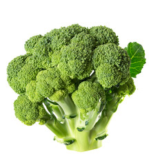 broccoli cabbage on white background