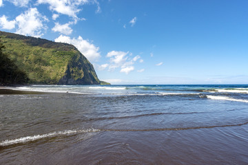Fototapeta na wymiar Waipio Valley Beach,Big Island Hawaii