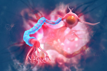 Neurons on scientific background