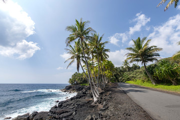 Government Beach Road,Pahoa,Big Island Hawaii