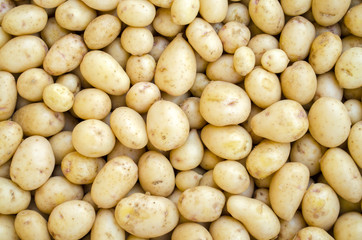 young potatoes in bulk in a box - 227231941