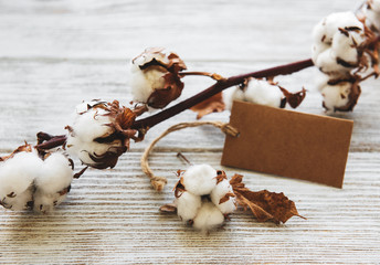 cotton flower with tag