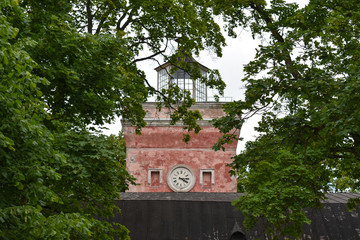 Peeping through the trees' leaves is the building clock which says it's 4:15 in the afternoon.