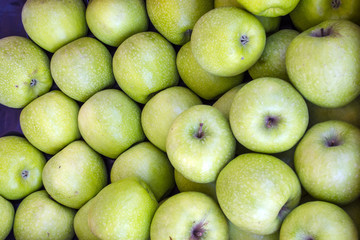 Fresh ripe green apples