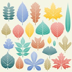 Gradation fall leaves set. Autumn forest or gaarden template. Vector illustration.