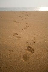 Footprints of one persons path in wet golden sand at sunset 