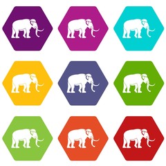 Mammoth icons 9 set coloful isolated on white for web