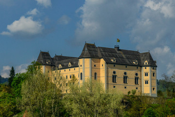 Fototapeta na wymiar Blick auf Schloss Greinburg