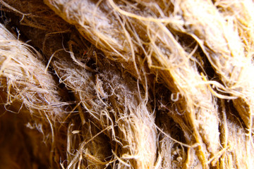 Sheshkin fibers macro