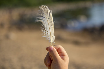 White Feather in Hand. Against the Background of a Sea