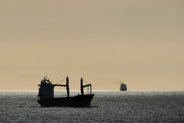 Ships on the way in the evening. A cargo ship and container ship travel on the high seas. The sky is cloudless and the sea is sparkling. The smoke from the chimneys rises into the sky.