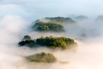 Nebbie sulla foresta all'alba