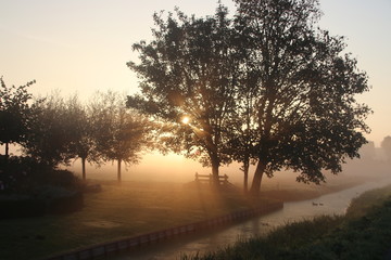 Fototapeta na wymiar Fog over the meadows colored by the sun and shadows by trees during sunrise in Nieuwerkerk aan den IJssel in the Netherlands.