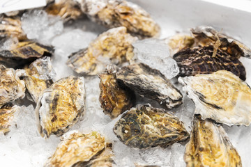 seafood, sell and food concept - close up of chilled oysters on ice at fish market