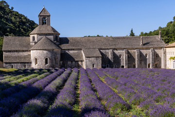 Abadia de Senanque and its lavender field. France