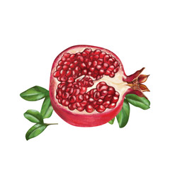 pomegranate