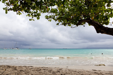 carribean beach in La Datcha, Grande-Terre, Guadeloupe
