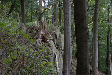 Herbst im Harz, Sachsen - Anhalt