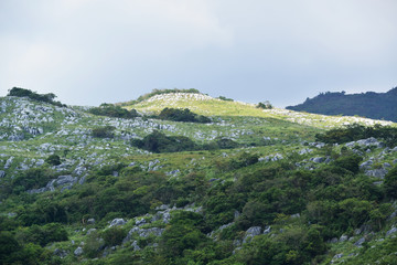 平尾台