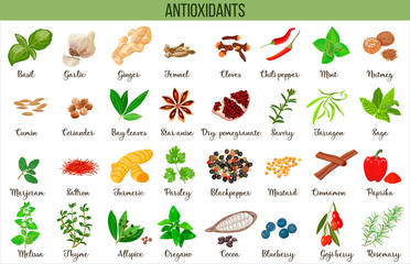 Naklejka premium Antioxidant food, herbs and spices. healthy lifestyle. Super food anthocyanins, vector illustration