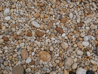 rock stone in the garden,pebbles on the beach