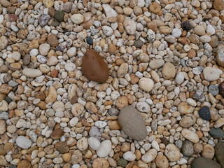 rock stone in the garden,pebbles on the beach