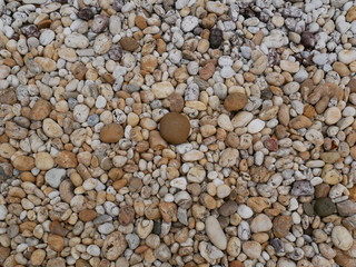 rock stone in the garden,pebbles on the beach