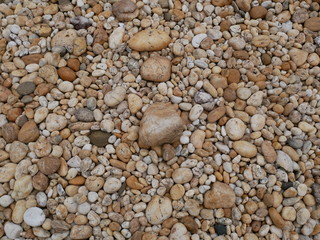 rock stone in the garden,pebbles on the beach