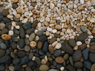 pebbles on the beach,garden stone