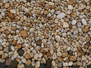 stone in the garden