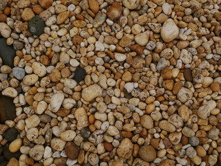 nature pebbles on the beach,stone garden