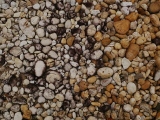 pebbles on the beach,texture of sand,stone concrete wall background