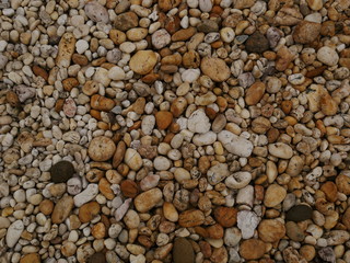 garden of stone,sand stone floor background,rock