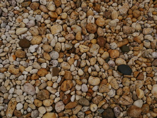 garden of stone,sand stone floor background,rock