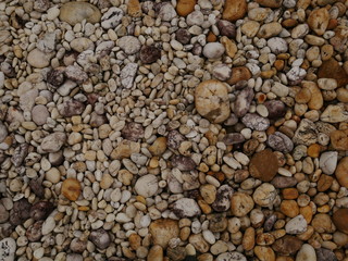 pebbles on the beach,stone background