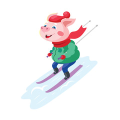 Fototapeta premium A funny cartoon pig in warm clothes on skis.