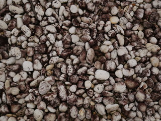 rock stone garden,pebbles on the beach