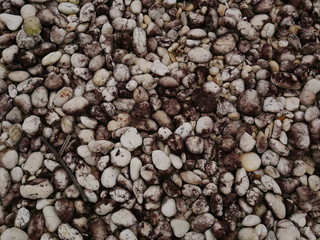 rock stone garden,pebbles on the beach