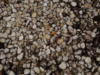 garden of stone,sand stone floor background,rock