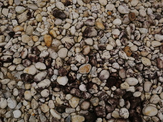 garden of stone,sand stone floor background,rock