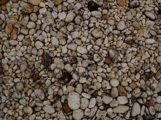 garden of stone,sand stone floor background,rock