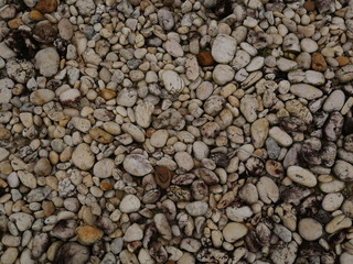 garden of stone,sand stone floor background,rock