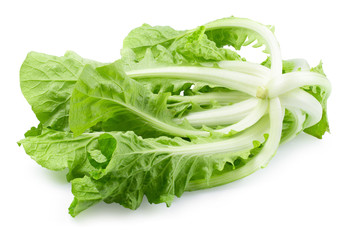 Lettuce leaves isolated on a white background