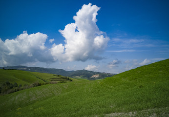 colline verdi e nuvole bianche